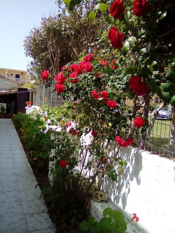 Tony'S Apartments Agios Georgios  Exterior foto